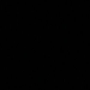 Meet your Posher, Bryce